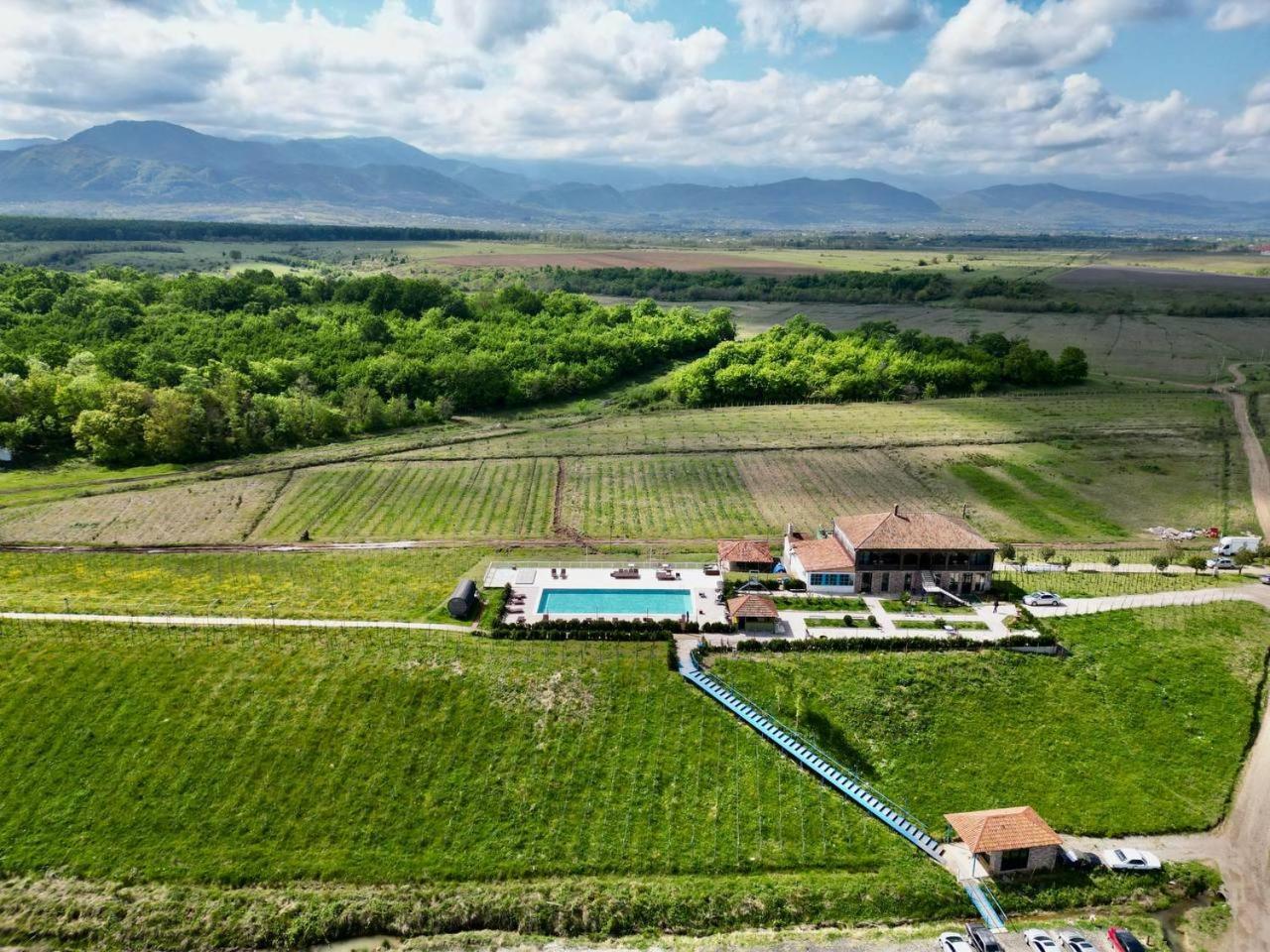 Chateau Vartsikhe Exterior foto